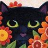 kattfotter56